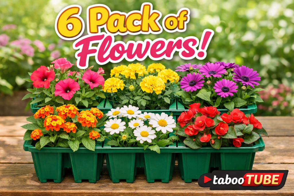 6 pack of flowers